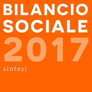 Sintesi di Bilancio 2017