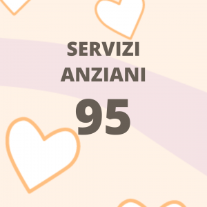 1_3 Servizi anziani 95