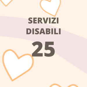 3_3 Servizi disabili 25